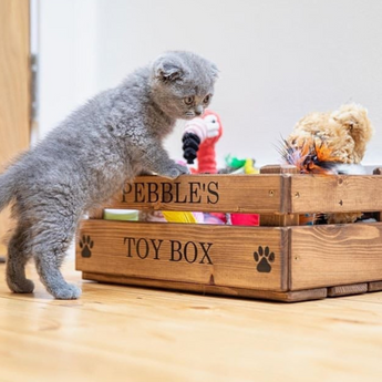 Cat Toy Boxes