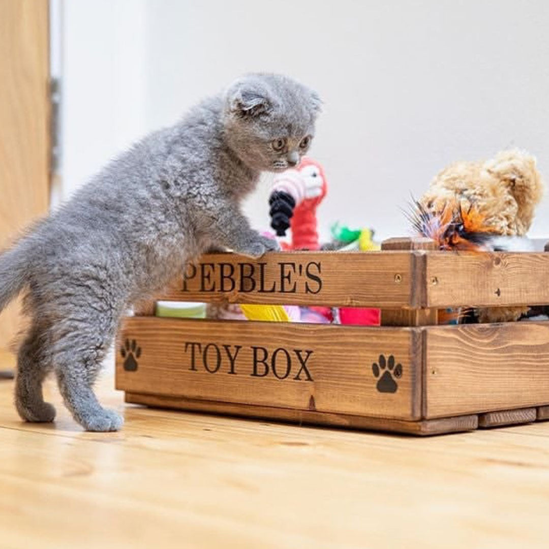 Toy Box for cats, cats toys, small cat toys, small cat toy box