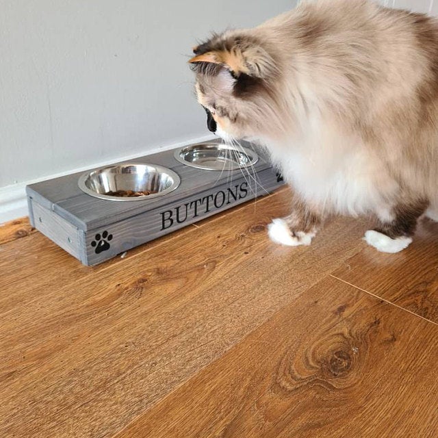 raised feeding bowl for cats