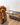 Benefits of raised pet bowl/ Benefits of Raised Dog Bowl