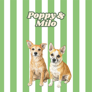 Personalised Pet Prints