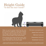 Elevated bowl size. How to measure pet bowl height. What is the best feeding bowl for cats