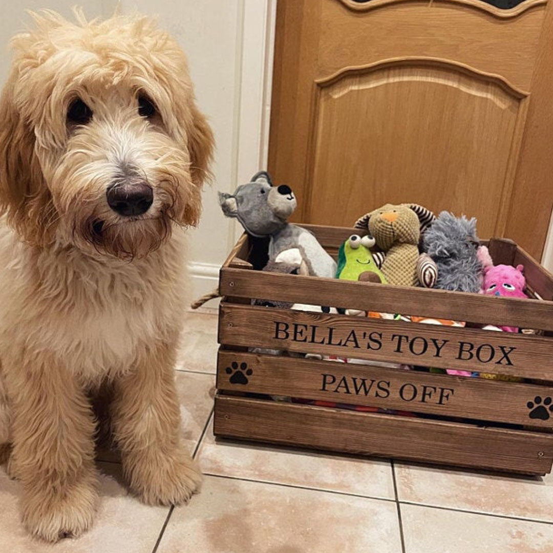 Large Doy Toy Box, Toy box for pets, personalised toy box