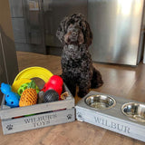Dog Toys, Personalised toy box, wooden pet toys, wooden toy box, toys for pets
