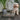 Pet using a raised wooden bowl, raised feeding bowl for dogs, cats