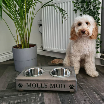 Pet using a raised wooden bowl, raised feeding bowl for dogs, cats