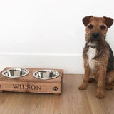 pet feeding with an elevated bowl, elated bowls for pets, dogs, cats.