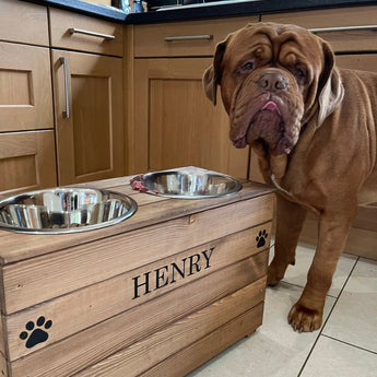 Elevated feeding bowl for large dogs