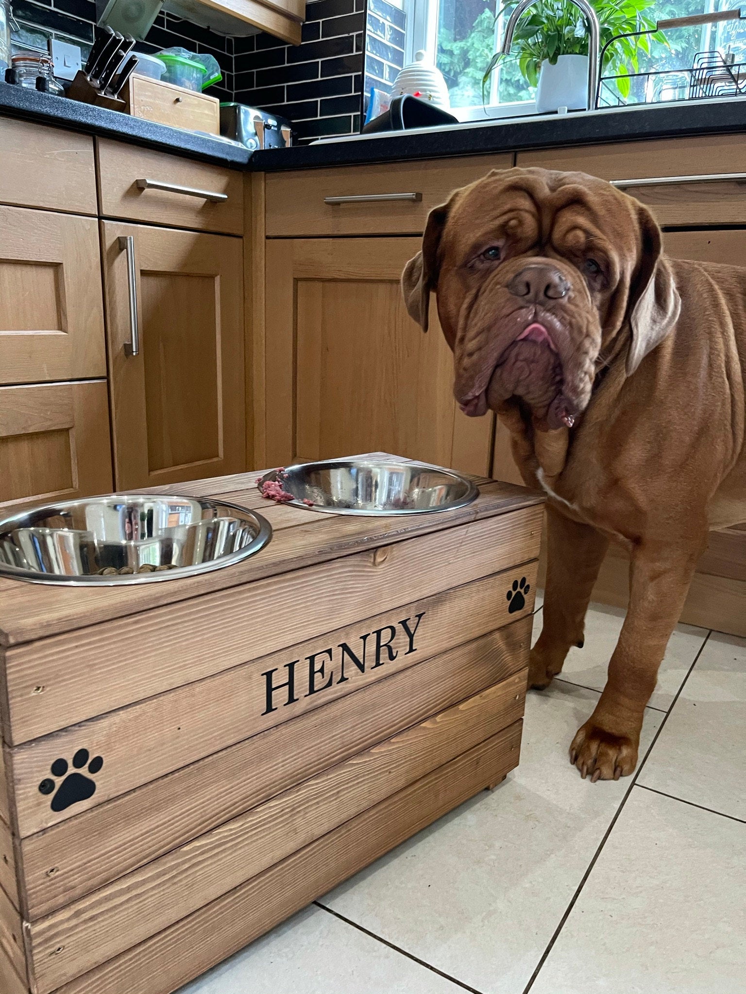 Elevated feeding bowl for large dogs