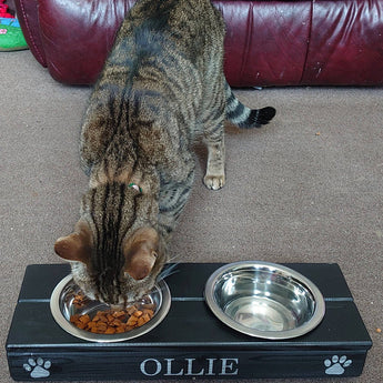 Elevated bowls for cats