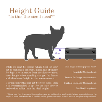 Elevated bowl size. How to measure pet bowl height. What is the best feeding bowl for my pet